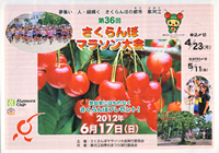 第36回さくらんぼマラソン