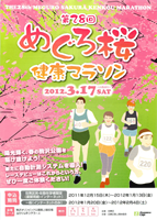 第28回めぐろ桜健康マラソン