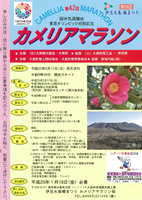 伊豆大島椿まつり 第42回カメリアマラソン