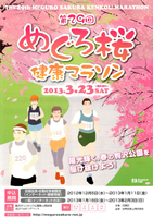 第29回めぐろ桜健康マラソン