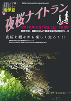 第1回南伊豆・夜桜ナイトラン