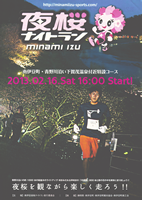 第2回南伊豆・夜桜ナイトラン