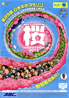 第29回日本平桜マラソン