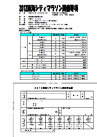 第28回 2012東海シティマラソン
