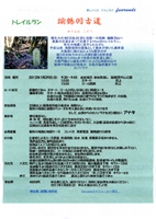トレイルラン諭鶴羽古道2012
