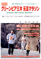 2013グリーンピア三木 元旦マラソン