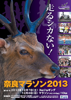 奈良マラソン2013