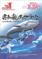 高知龍馬マラソン2013