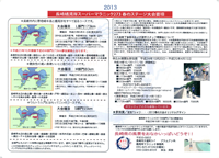 2013長崎橘湾岸スーパーマラニック273 春のステージ