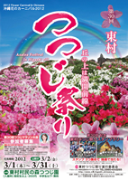 第30回東村つつじマラソン