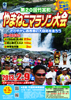 第20回竹富町やまねこマラソン