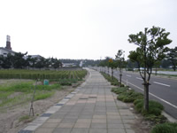 コナン通り