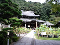 三室戸寺