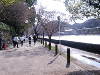 宇治川沿いを走る4