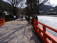 宇治川沿いを走る5