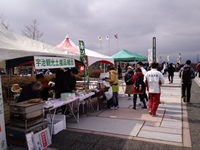 お茶のお土産屋