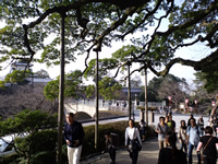 兼六園を後にし金沢城公園へ