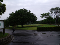 芝生広場