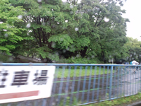 周回コースを走るランナーたち３