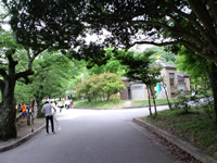 宝が池公園を後に