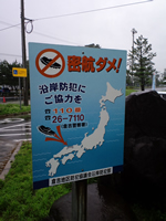 密航ダメ！