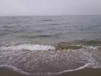 ついに日本海が目の前に