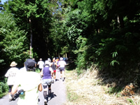 林道を登る２