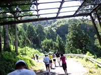 少しだけあったゆったりとした傾斜道