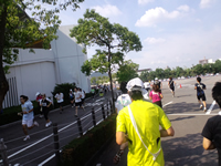 日陰が多くなってくる