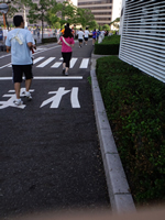 気力を振り絞って走り続ける