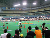 最終回を疾走する下の弟