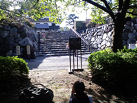 長浜城歴史博物館そばの公園より