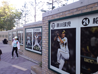 球場外にあるタイガースの選手紹介パネル