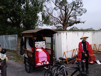 やちにゃん登場