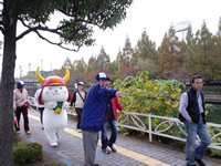 ひこにゃん登場
