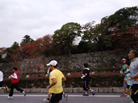 彦根城のお堀の周囲を走る