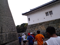 彦根城の石垣の間を走る