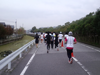 用水路の横を走る