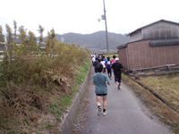 景色はいつの間にか田んぼが広がるのどかな光景に