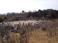 高台から見下ろす大会会場