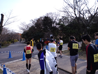 ハーフのランナーたちが集合