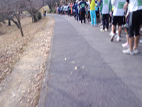 フルマラソンのランナーがコース上に