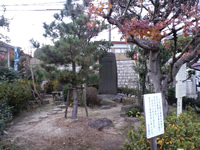 戦評の松