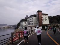 迎帆楼向こうに見える国宝犬山城