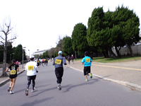 徐々に遅いランナーを抜いていく