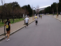 自分のペースで走り続ける