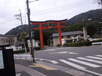 松尾大社の鳥居