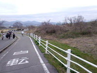桂川沿いのサイクリングコース