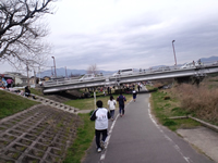 松尾橋の下をくぐってゴールへ