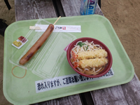 天ぷらうどんとフランクフルト